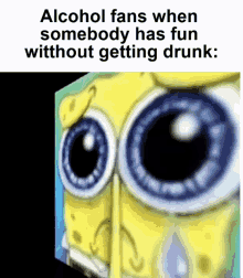 alcohol fans drunk spunch bop meme