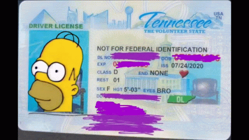 Chair Drivers License GIF - Chair Drivers License - Discover & Share GIFs