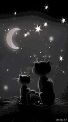 Cats Goodnight GIF - Cats Goodnight Night GIFs