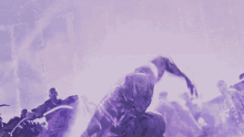 Purple Black Panther GIF - Purple Black Panther GIFs