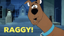 Scooby Doo Raggy GIF - Scooby Doo Scooby Raggy GIFs