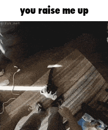 a cat is sitting on a rug next to a person with the words you raise me up