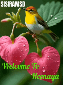 a picture of a bird on a pink flower with the words welcome to heenaya below it