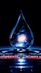 the word mimoza is on the bottom of a picture