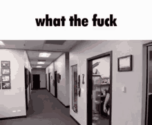 What The Fuck Wtf GIF - What The Fuck Wtf Funny GIFs