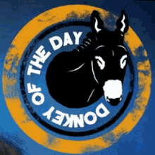 Donkey Of The Day GIF