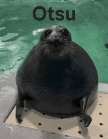 a seal with the word otsu written on the bottom