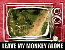 Leave My Monkey Alone Warren Zevon GIF - Leave My Monkey Alone Warren Zevon 80s Music GIFs