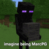a minecraft character holding a box that says imagine being marcpg on it