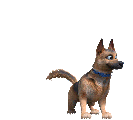 Duke Championdog Sticker - Duke Championdog Somospley Stickers