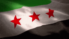 Syria Flag Sr Flag GIF