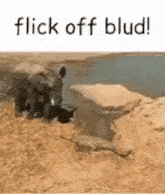 a man is riding a motorcycle in the desert next to a river .