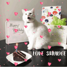 Happy Birthday Happy Birthday Love Smudge Cat GIF - Happy Birthday Happy Birthday Love Smudge Cat Smudge Cat GIFs