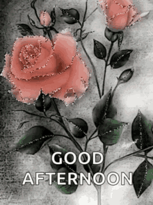 Good Afternoon Rose GIF - Good Afternoon Rose Flower GIFs