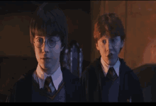 Ronald Weasley Hermione GIF - Ronald Weasley Hermione Harry Potter GIFs