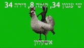 a man is riding on the back of a chicken on a green background