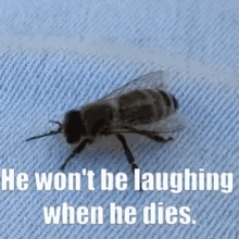 bee he wont be laughing when he dies