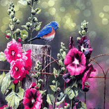 Bird Blue Bird GIF - Bird Blue Bird GIFs