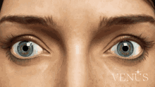 wow eyes venus blue eyes astonished