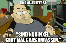 a cartoon of a man in a living room with the caption " sind nur pixel geht mal gras anfassen . "