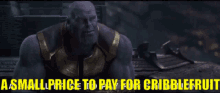 Cribblefruit Thanos GIF - Cribblefruit Thanos A Small Price To Pay For Salvation GIFs