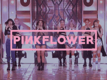 Pinkflower Fje GIF