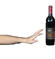 Capo Cagna Wine Sticker - Capo Cagna Wine Leah Vandale Stickers