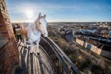 Ronneby Horse GIF - Ronneby Horse Vattentorn GIFs