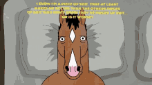 Bojack Horseman Bojack GIF - Bojack Horseman Bojack Bed GIFs