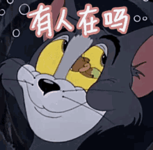 猫和老鼠 有人在吗 搞笑 GIF - Tom And Jerry Hello Anyone There GIFs
