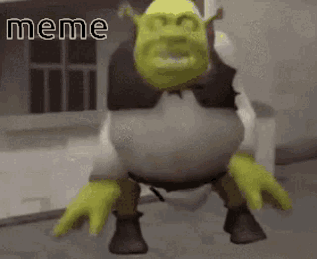 Meme Shrek GIF - Meme Shrek - Discover & Share GIFs