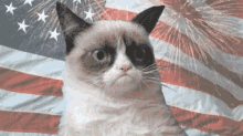 Happy Presidents Grumpy Cat GIF - Happy Presidents Grumpy Cat Funny GIFs