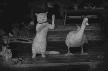 You Can Almost Hear The Music... GIF - Ducks Cats Dancing GIFs