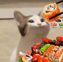 a cat is looking at a sushi roll with chopsticks in front of it