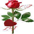 Happy Day Rose Sticker