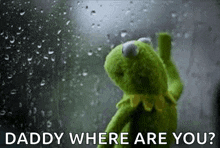 a kermit the frog is standing in front of a window with rain drops on it .