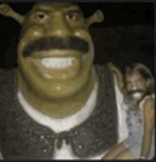 Pin de 𝐴 em memes  Gif dançando, Shrek engraçado, Imagens aleatórias