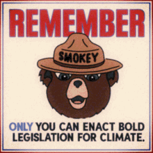 Remember Only You Can Enact Bold Legislation For Climate Smokey The Bear GIF - Remember Only You Can Enact Bold Legislation For Climate Enact Bold Legislation For Climate Smokey The Bear GIFs