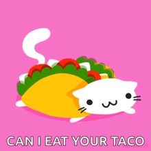 Taco Cat Cute GIF - Taco Cat Cute Cat Food GIFs