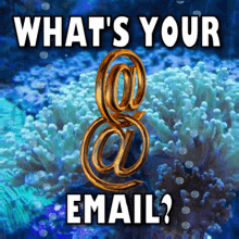 Whats Your Email Email Address GIF - Whats Your Email Email Address How To Contact You GIFs