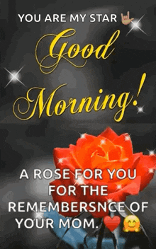 you are my star good morning ! a rose for you for the rememberence of your mom .