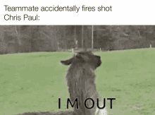 Llama Accidentally Fires Shot GIF - Llama Accidentally Fires Shot Christ Paul GIFs