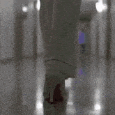 a person wearing white gloves holds a red object