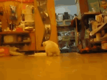 a blurred image of a person standing in a room