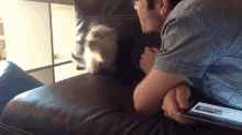 You Got It, Gurl GIF - Cats Kittens Attack GIFs