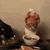 a cat wearing a turkey hat is sitting next to a bowl of food on a table .