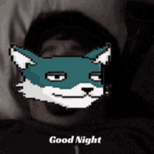 Dood Night Private Foxes GIF - Dood Night Private Foxes Foxesgifs GIFs