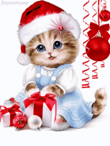 Cute Cat GIF - Cute Cat Santa Hat GIFs