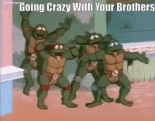 Tmnt Going Crazy With Your Brothers GIF
