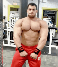 Bodybuilding Muscles GIF